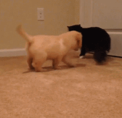 你演技太浮夸啦！