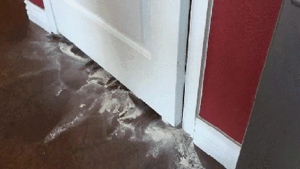 说起来你可能不信，面粉硬是要拖我进去里边打架