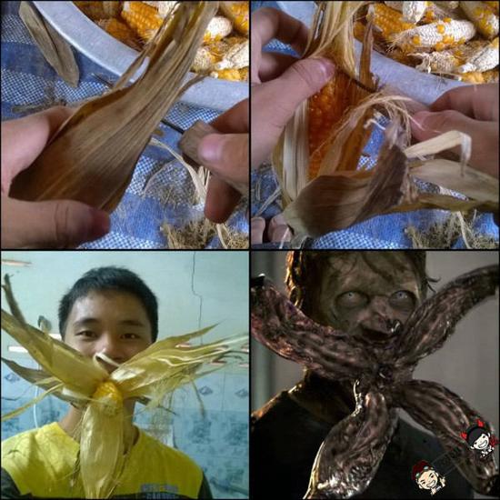 玉米棒子还有这种玩法，这小伙脑洞像是被僵尸啃了一口