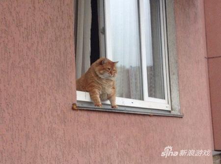 朕的江山，甚是壮观