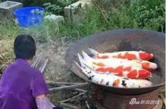 PS的吧，鱼有这么做的么，锅都没有过油，鳞片也没刮
