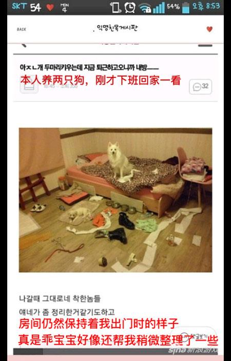 看到同样懒惰的我就放心了