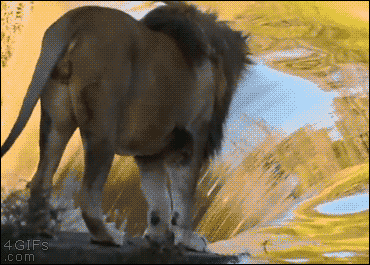 失足少年下海记