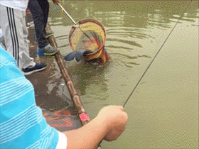 这就是体重大的好处