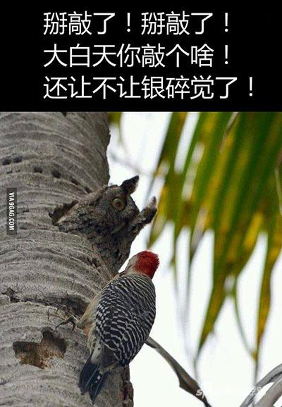 悄悄点，再敲老子neng死你!