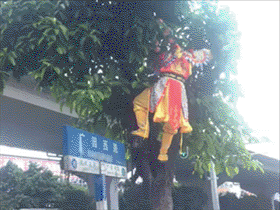 悟空你又调皮了