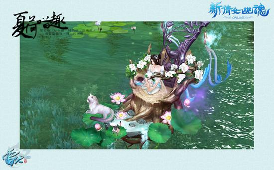 自成一景的夏荷喵趣