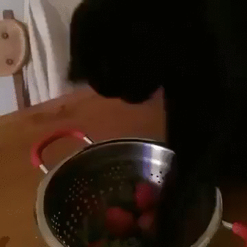 什么破玩意！怒摔！