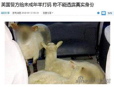 也不知道是谁家的童养媳