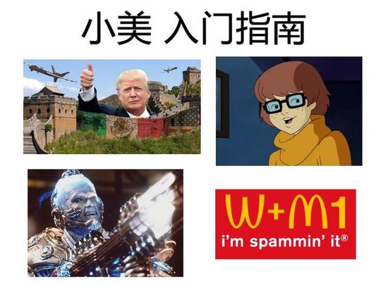 *注释：图1川普+长城的梗，指代中国。图3的是阿诺施瓦辛格扮演的急冻人。图4不太理解。