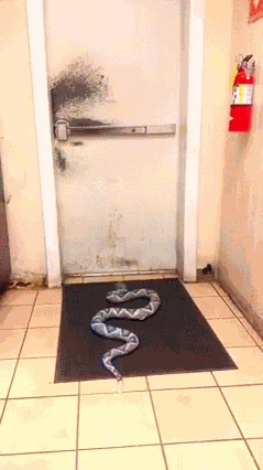 其中一位孙先生到朝阳法院要告林妙可,理由是他曾在林妙可微博上多次