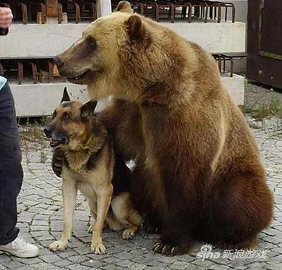 汪：“突然有点怂……”