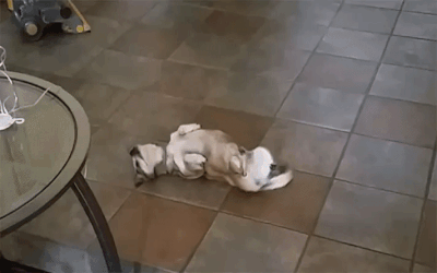 一个赖皮，一个痒皮