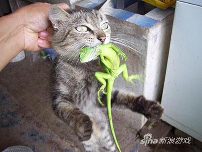 它的眼里竟然没有一丝悔意