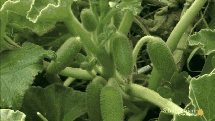 突突突突突突突……