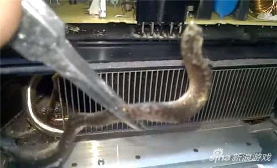 新买的PS4遭异物侵入传恶臭 拆开后竟发现干尸