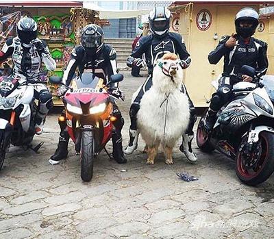 你们连我的车尾灯都看不到