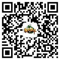 赏薪首测 玩家荣耀今日启程