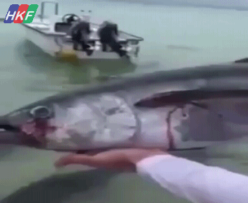 真是个毁尸灭迹的好地方