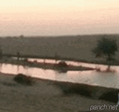 这个人的闪避技能用的不错