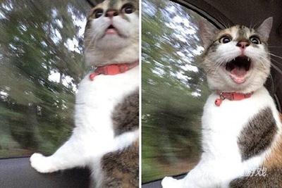 放我下去，你根本不是司机