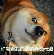 看电影还是刷BOSS 《九阴绝学》才是主业