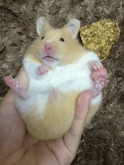 嘴形居然一毛一样