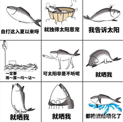 炎夏出新番 《9377雷霆之怒》新版外装震撼登场