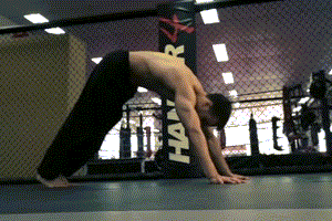 最后祝您，身体健康