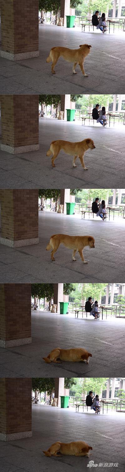 艾玛！辣眼睛！