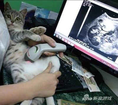 还有照片查看器……