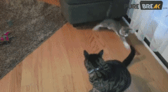 你这个折磨人的小妖精