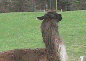 今天星期一，哦耶！