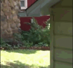 应该用翻跟头的啊