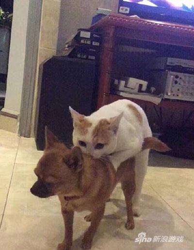 我就问你怕不怕！