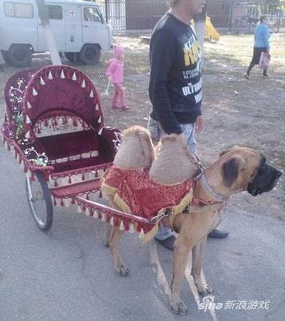 你丫背上怎么长了两个奶子