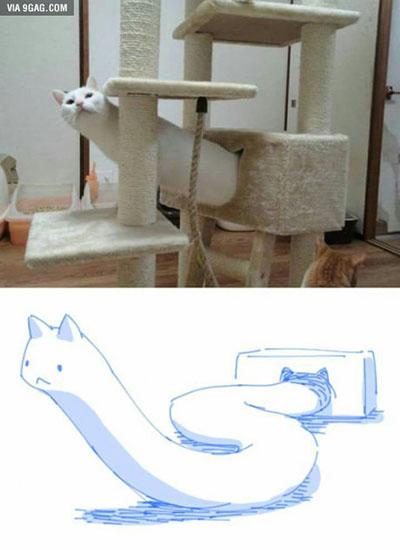 勃……勃起来了……一朋友算是被街头卖假ipone玩的骗子坑惨了.