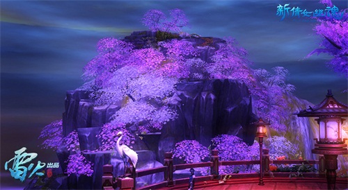 被蓝花楹包围的观景台