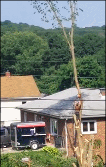 很关心电锯是不是关了