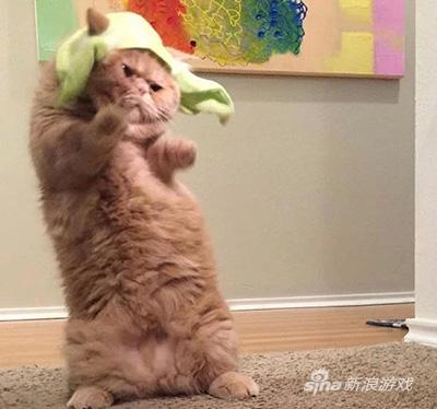 周五了，一起来跳舞！