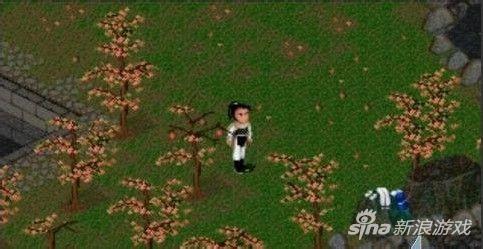 这场景什么意思，玩过的都懂