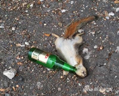 醉生梦死