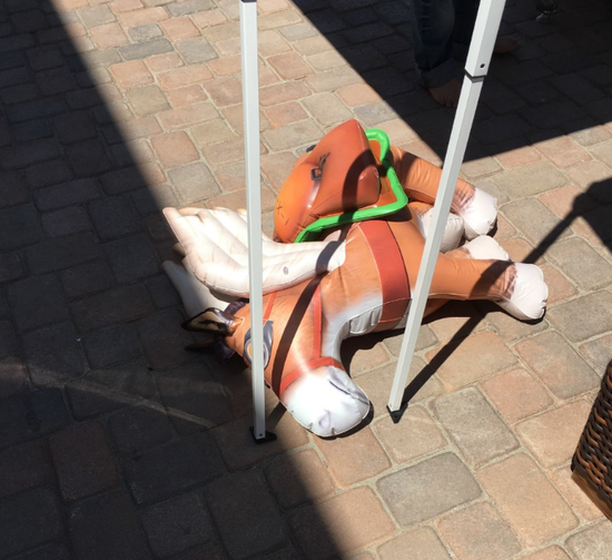 小马信使：这么热的天我感觉我已经是个废马了