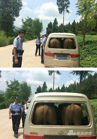 听说你们都很喜欢屁股