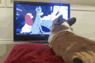 这就是今天被酸臭味围绕的我