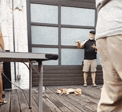 我们生男孩还是女孩？