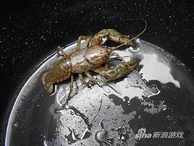 自从发现是桶底，在没有虾球大战的感觉了