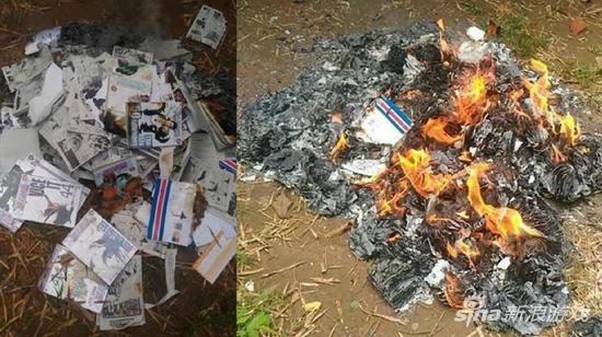 比如这样撕书，然后愤怒地烧成灰