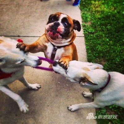 谁说对了就给他