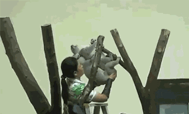 都懒成这样了啊喂！